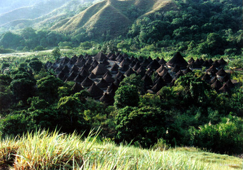 taminaca